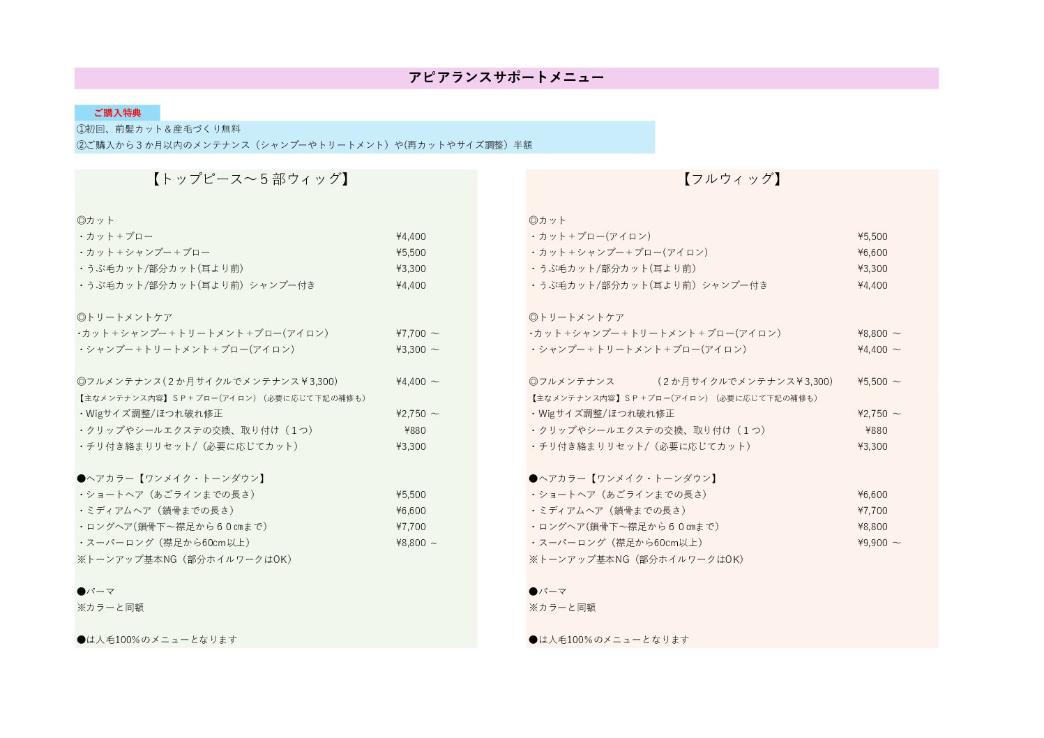 アピアランスサポート（ウィッグケア）メニュー表